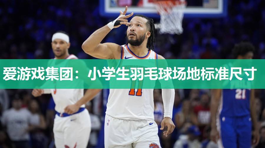 爱游戏集团：小学生羽毛球场地标准尺寸
