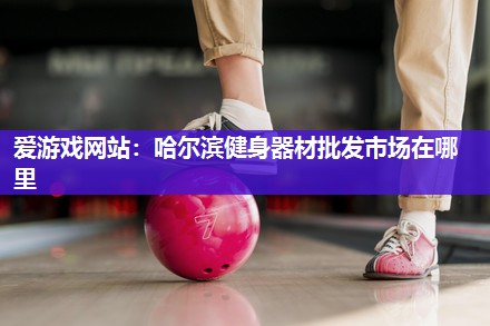 爱游戏网站：哈尔滨健身器材批发市场在哪里