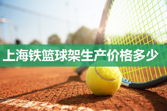 上海铁篮球架生产价格多少
