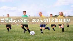 爱游戏ayx公司：200元买什么体育用品
