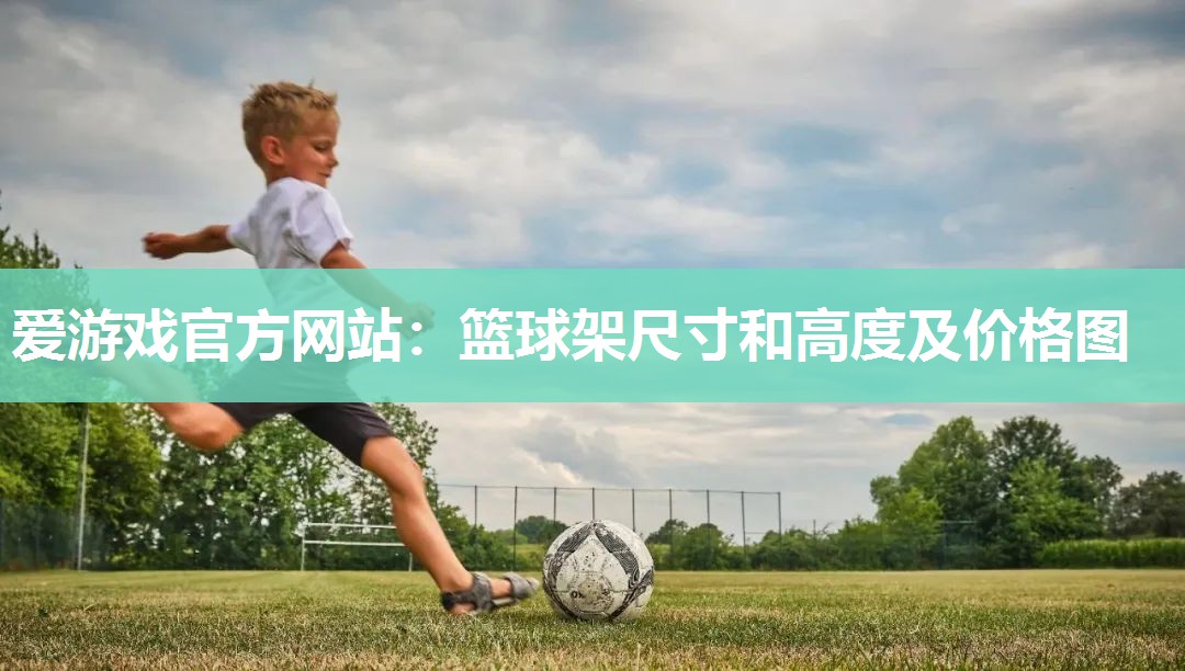爱游戏官方网站：篮球架尺寸和高度及价格图