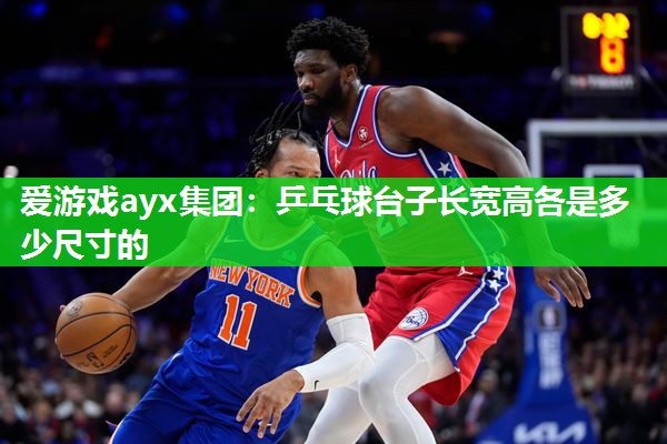 爱游戏ayx集团：乒乓球台子长宽高各是多少尺寸的