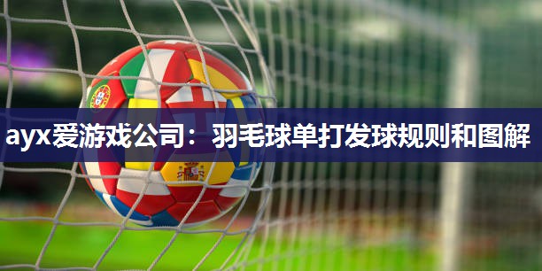 ayx爱游戏公司：羽毛球单打发球规则和图解
