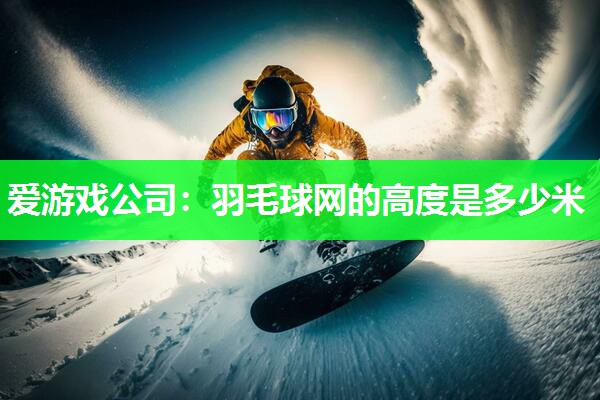 爱游戏公司：羽毛球网的高度是多少米