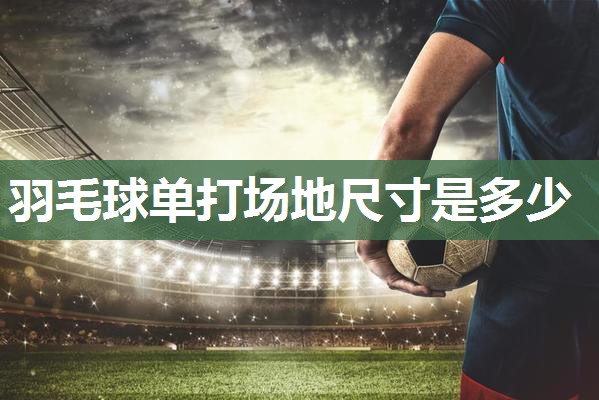 羽毛球单打场地尺寸是多少