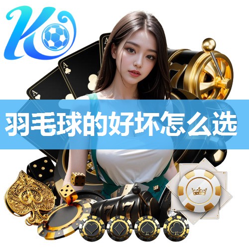 羽毛球的好坏怎么选