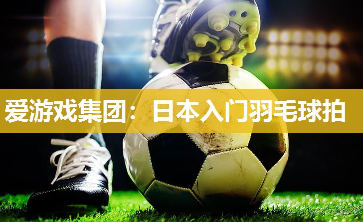 日本入门羽毛球拍