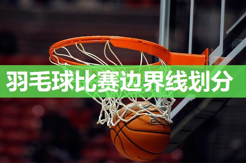 羽毛球比赛边界线划分