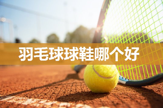 羽毛球球鞋哪个好