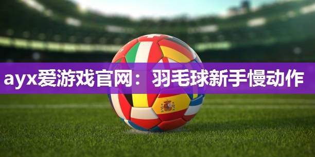 羽毛球新手慢动作
