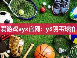 y3羽毛球拍